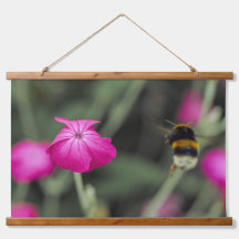 Bij pollinerende roze wilde bloem Natuurfoto