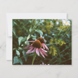 Bij & Rudbeckia Notitiekaartje