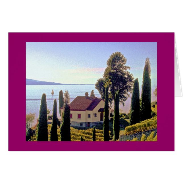bij St. Saphorin, Lavaux, Zwitserland (Voorkant Horizontaal)