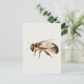 Bij van blad met studies van negen insecten briefkaart (Staand voorkant)