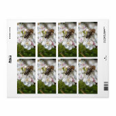 Bij verzamelt pollen etiket (Full Sheet)