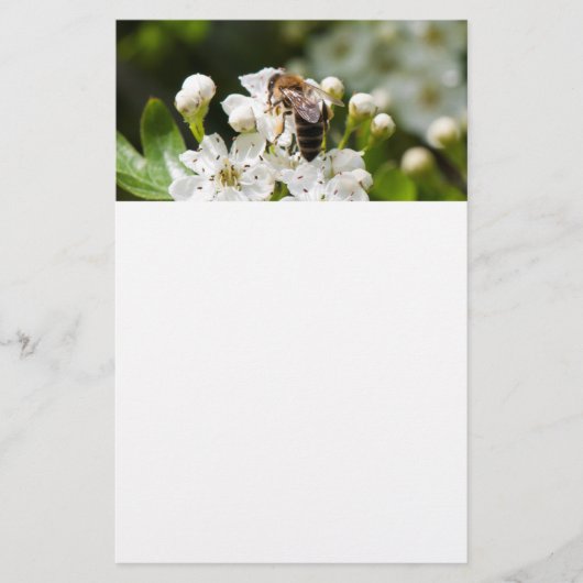 Bij verzamelt pollen flyer (Voorkant)