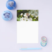 Bij verzamelt pollen flyer (Enkel)