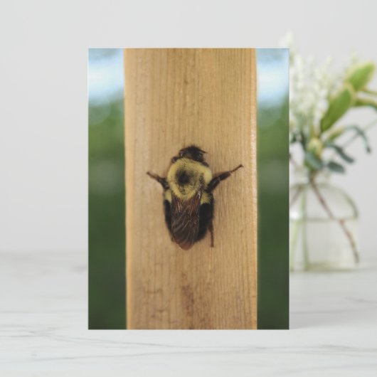 Bij-Zilla Kaart (Staand voorkant)