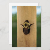 Bij-Zilla Kaart (Voorkant / Achterkant)