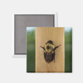 Bij-Zilla Magneet (Voorkant / Achterkant)