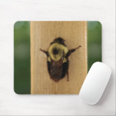 Bij-Zilla Muismat (Met muis)