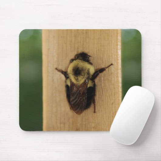 Bij-Zilla Muismat (Met muis)