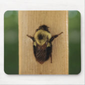 Bij-Zilla Muismat (Voorkant)