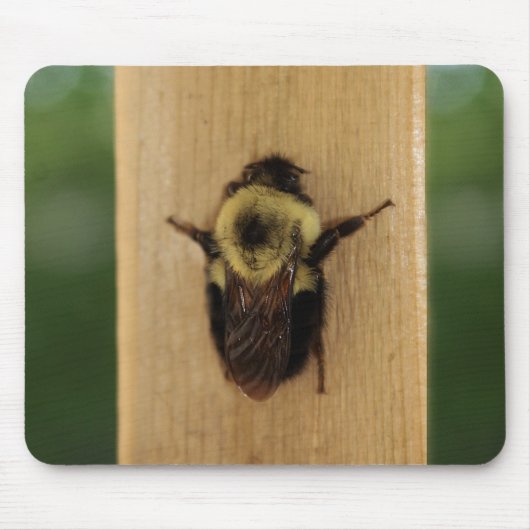 Bij-Zilla Muismat (Voorkant)