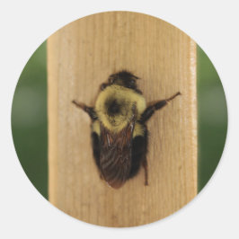 Bij-Zilla Ronde Sticker