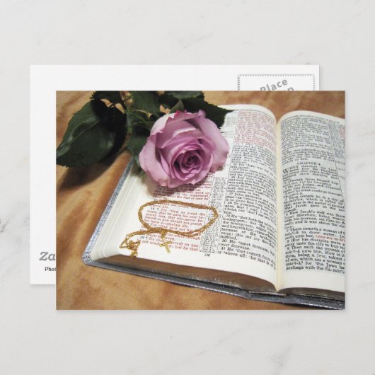 Bijbel en Paars Roos met dwarsketen Briefkaart (Voorkant / Achterkant)