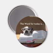 Bijbel lezen Boston Terrier Magnet (Voorkant / Achterkant)