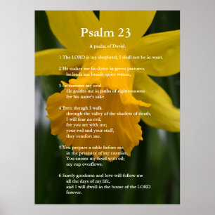 Bijbel Psalm 23 scripture verses. yellow daffodil Poster
