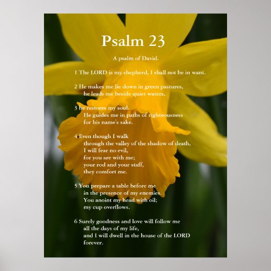 Bijbel Psalm 23 scripture verses. yellow daffodil Poster (Voorkant)