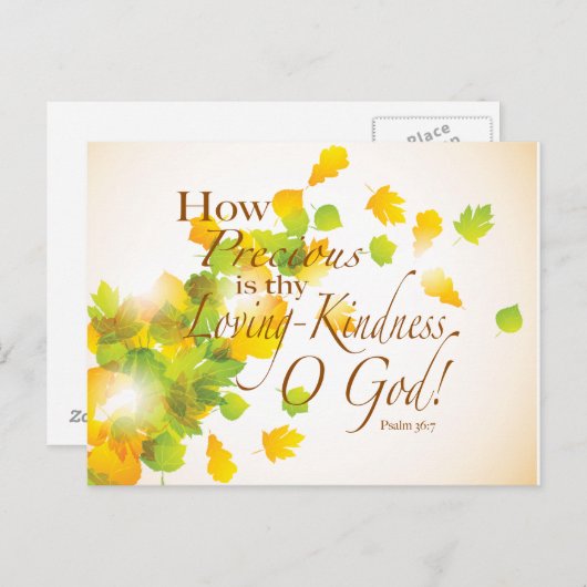 Bijbel verdeelt hoe waardevol briefkaart (Voorkant / Achterkant)