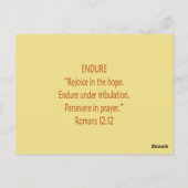 Bijbelbare Beren ~ Eindscripts Briefkaart (Achterkant)