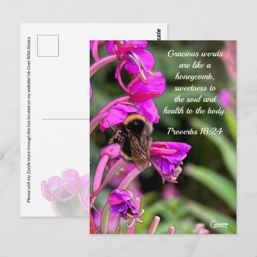 Bijbelbijbelbijbel - Briefkaart (Voorkant / Achterkant)