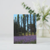 Bijbellenbeustelkaart voor lavender-veld Verse-bem Kaart (Staand voorkant)