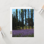 Bijbellenbeustelkaart voor lavender-veld Verse-bem Kaart (Voorkant / Achterkant in situ)