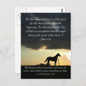 Bijbelpassage, een mooi paard in de zon briefkaart (Voorkant / Achterkant)