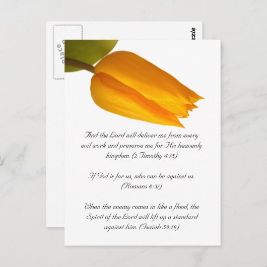 Bijbelpassage, gele tulp briefkaart (Voorkant / Achterkant)