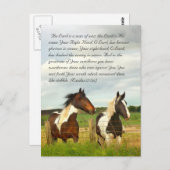 Bijbelpassage, prachtige paarden briefkaart (Voorkant / Achterkant)