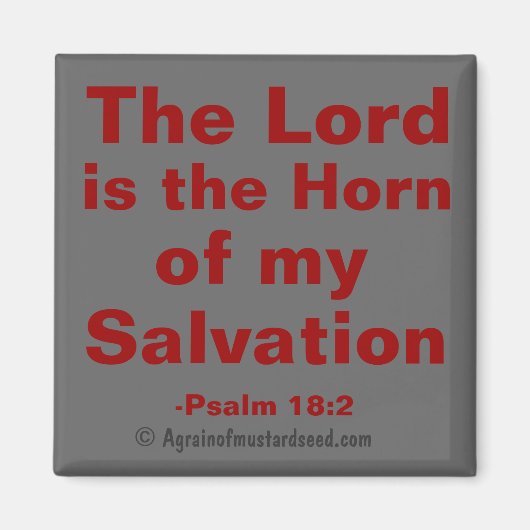 Bijbelprijsopgave Magneet (Voorkant)