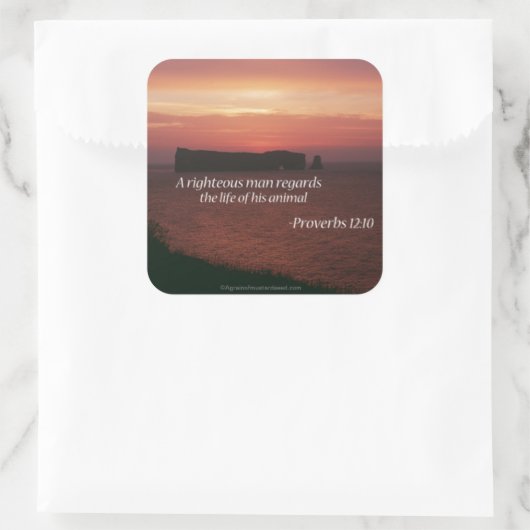 Bijbelprijsopgave Vierkante Sticker (Tas)