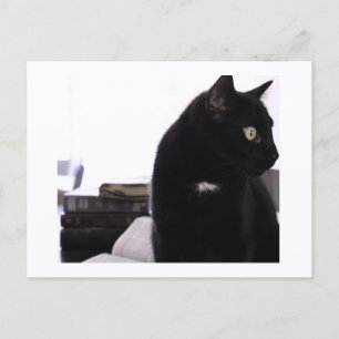 Bijbels en print van Zwarte Kat ansichtkaart door Briefkaart
