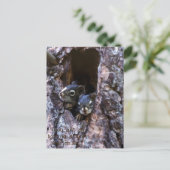 Bijbelschrift Briefkaart (Staand voorkant)