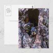 Bijbelschrift Briefkaart (Voorkant / Achterkant)