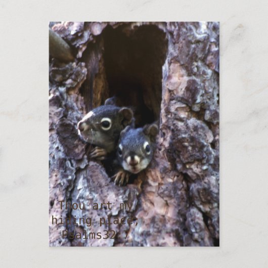 Bijbelschrift Briefkaart (Voorkant)