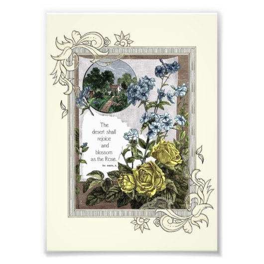  bijbelscripts met Rozen Foto Afdruk (Voorkant)