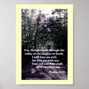 Bijbelscripts Poster