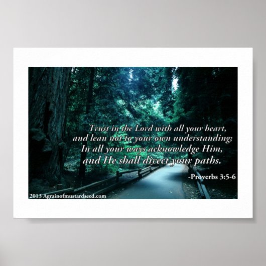 Bijbelscripts Poster (Voorkant)