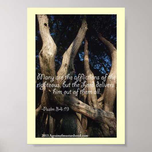 Bijbelscripts Poster (Voorkant)