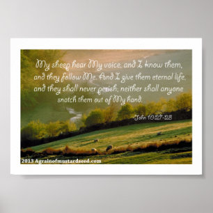 Bijbelscripts Poster