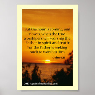 Bijbelscripts Poster