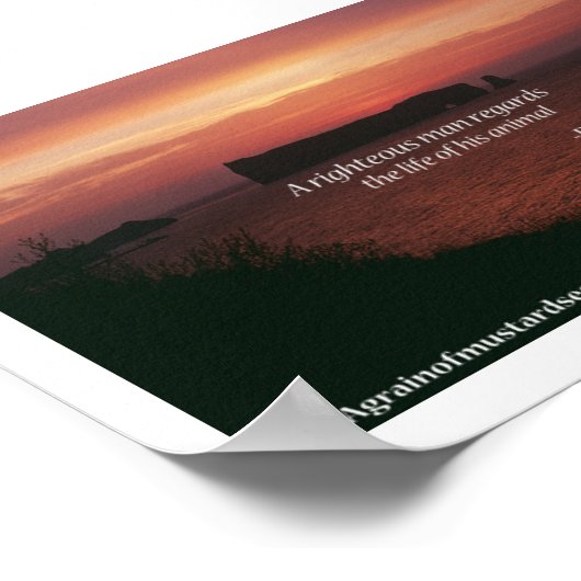 Bijbelscripts Poster (Hoek)