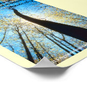 Bijbelscripts Poster (Hoek)