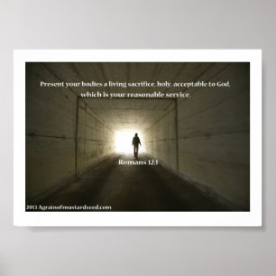 Bijbelscripts Poster