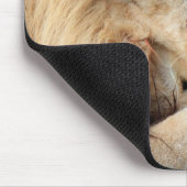 Bijbelse bijbel van het christendom Phil 4:13 Muismat (Hoek)