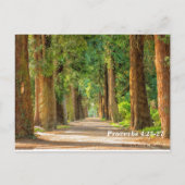 Bijbelse spreekwoorden 4:25-27 briefkaart (Achterkant)