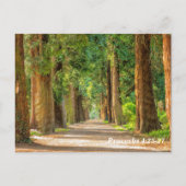 Bijbelse spreekwoorden 4:25-27 briefkaart (Achterkant)