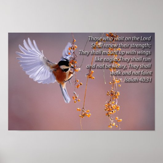 Bijbelse Verse Isaiah 40:31 met Motivatie vogelpes Poster (Voorkant)