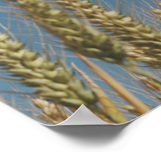 Bijbelse versie, Filippijnen 4:13 Poster (Hoek)