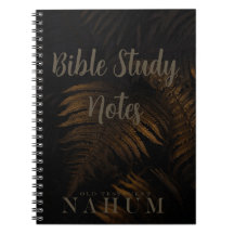 Bijbelstudie-Nahum