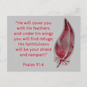 Bijbelvers Ansichtkaart Psalm 91:4 Veren Briefkaart