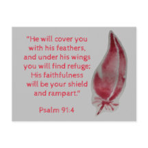 Bijbelvers Ansichtkaart Psalm 91:4 Veren